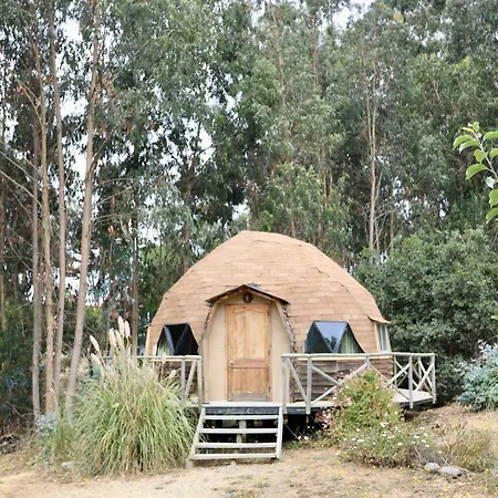 Cabanas Curi-Huapi Isla Negra Exterior foto