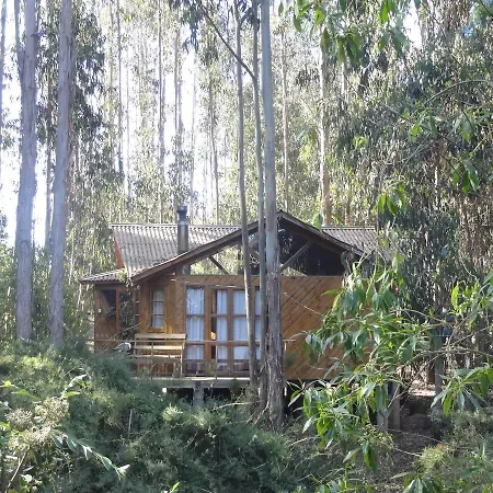 Cabanas Curi-Huapi Isla Negra Exterior foto