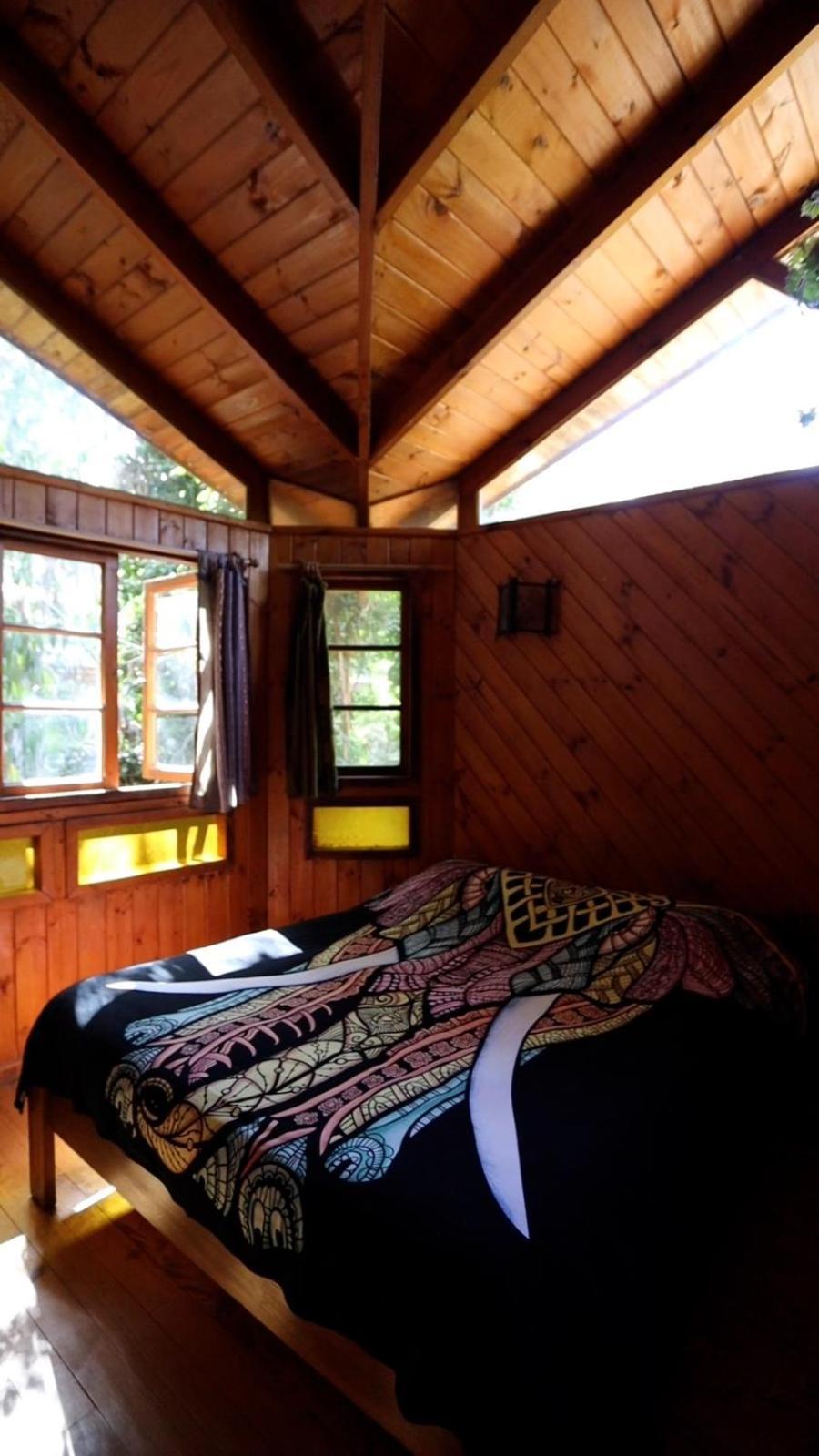 Curi-huapi Isla Negra
