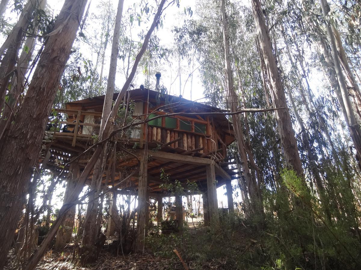Lodge Curi-huapi Isla Negra