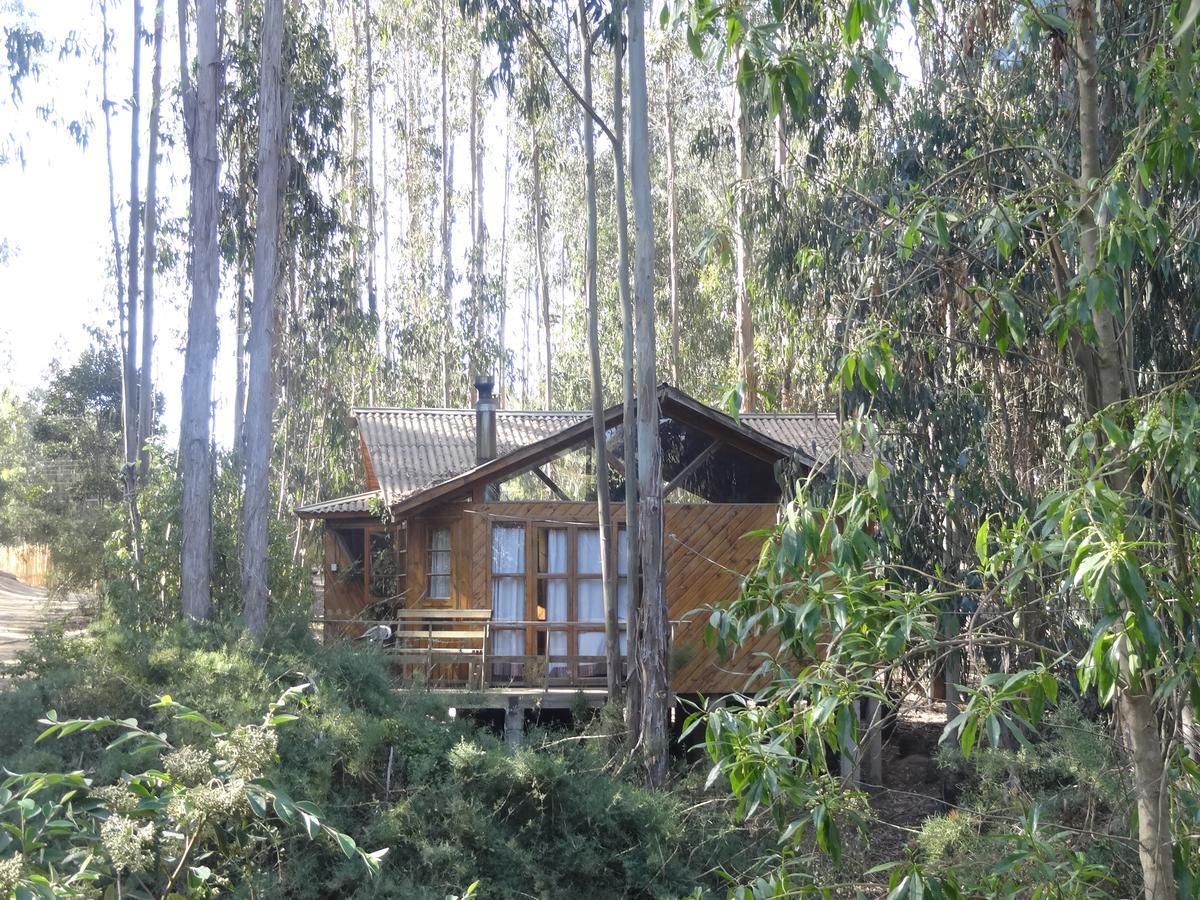 Lodge Curi-huapi *